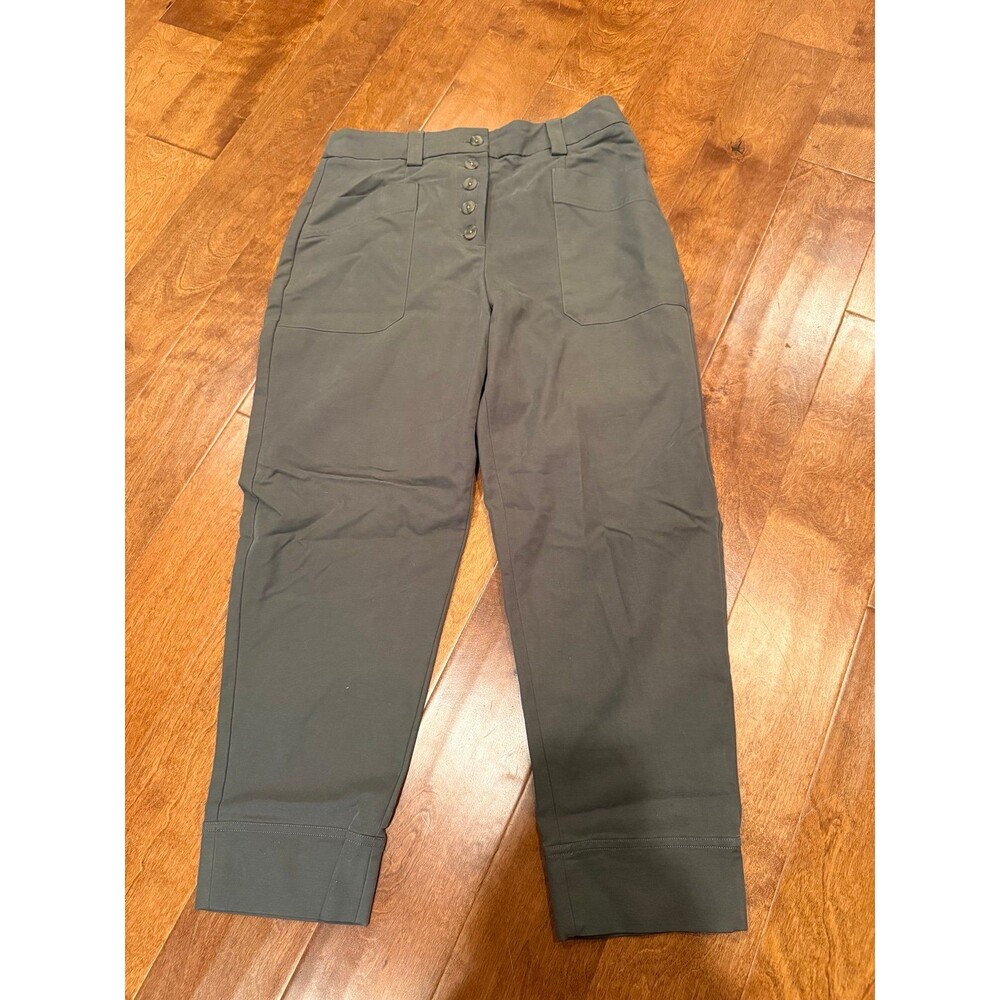Express size 10 long green/gray pants